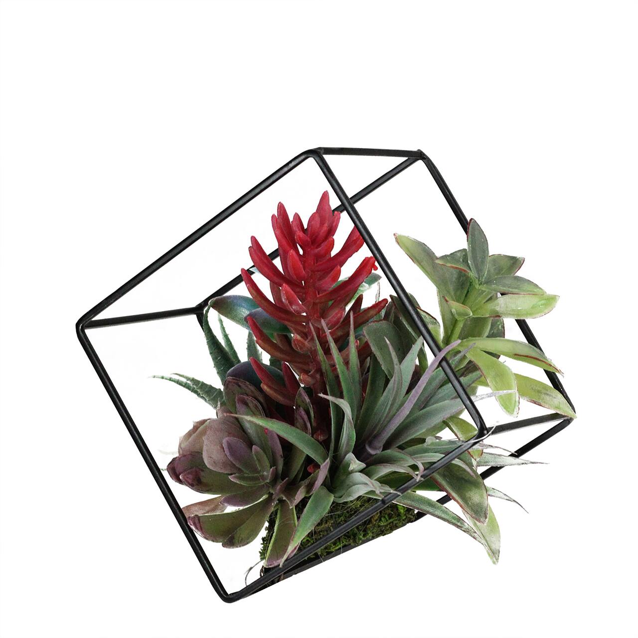 7" Green Artificial Succulent Arrangement in Offset Metal Wire Frame